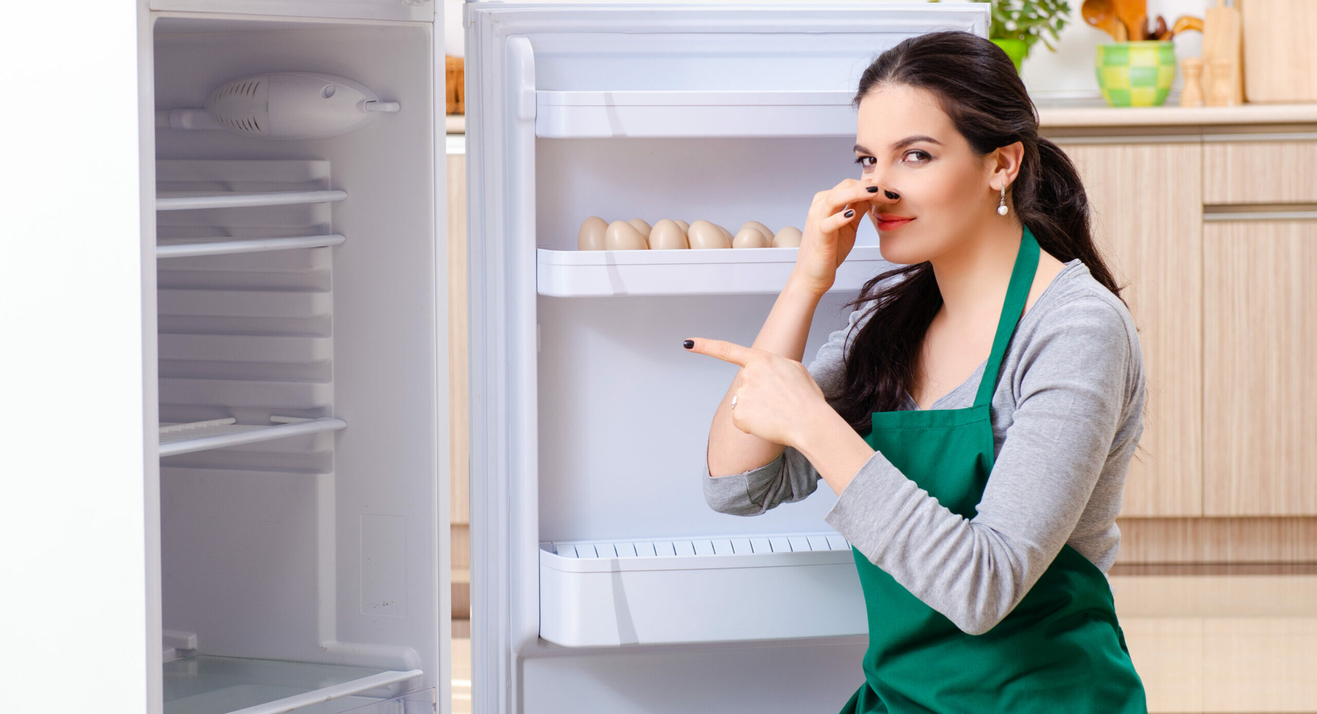 Cleaning and maintenance of the refrigerator